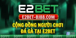 cong-dong-nguoi-choi-da-ga-tai-e2bet