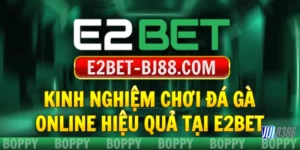 kinh-nghiem-choi-da-ga-online-hieu-qua-tai-e2bet