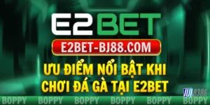 uu-diem-noi-bat-khi-choi-da-ga-tai-e2bet